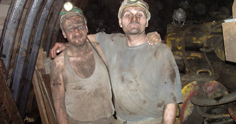 Auchan birdy : le comparatif ultime pour choisir son modèle